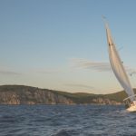 Yacht Race - white sailing boat on body of water