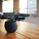 Dining Table - selective focus photography of snake plant in vase