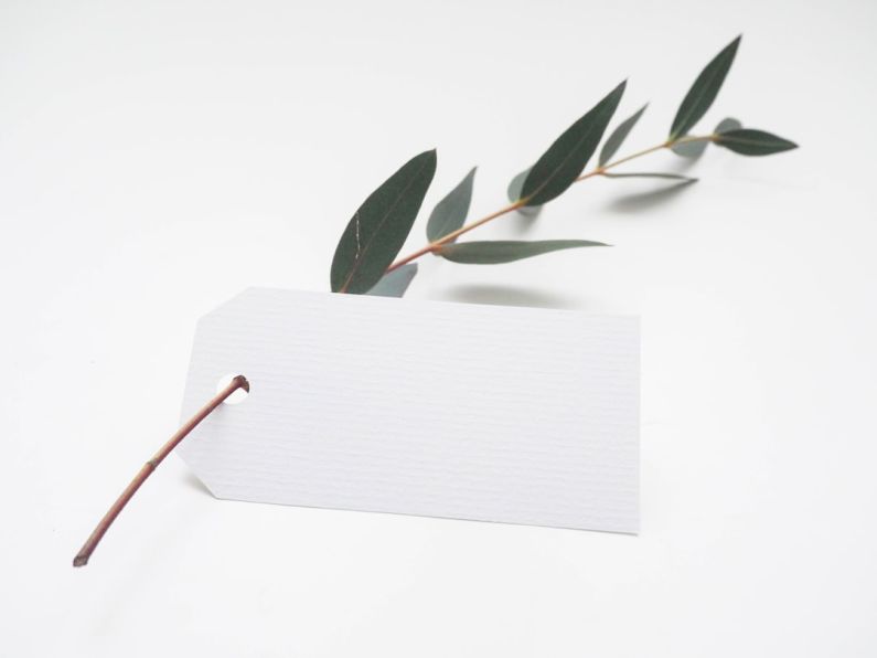 All-inclusive Tag - green leaf with white card