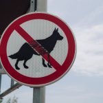 Safety Regulations - a no dogs allowed sign on a pole