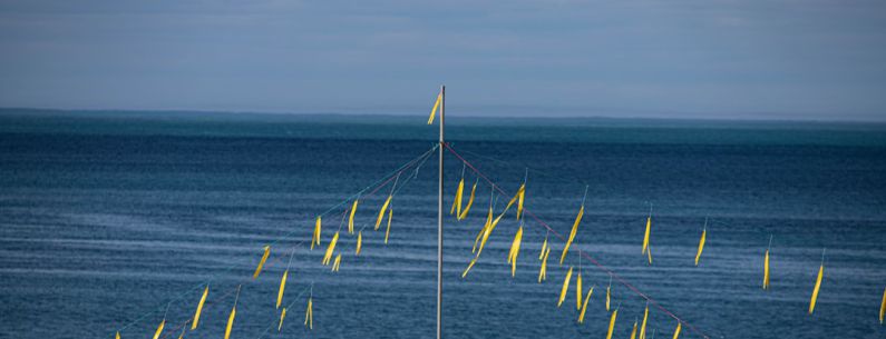 Signal Flags - a pole with yellow poles sticking out of the water