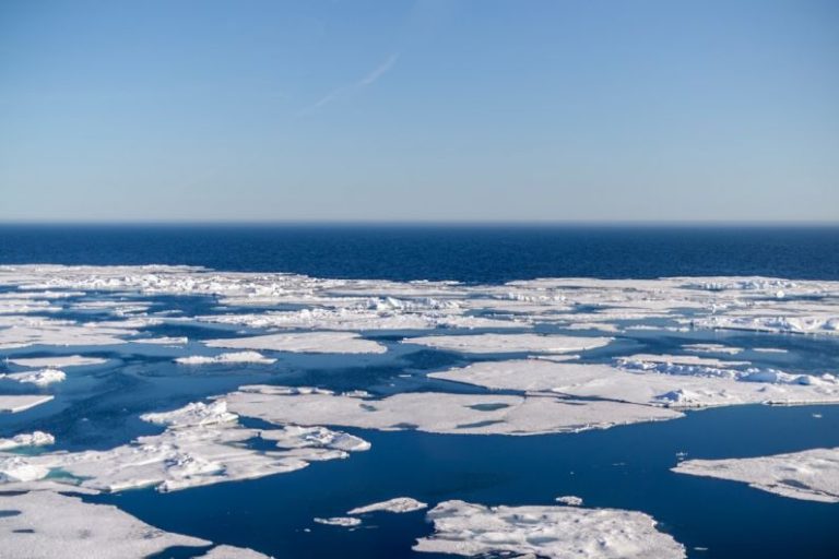 Journey to the Arctic: Sailing the Polar Seas