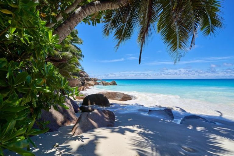 Sailing the Seychelles: Paradise Found